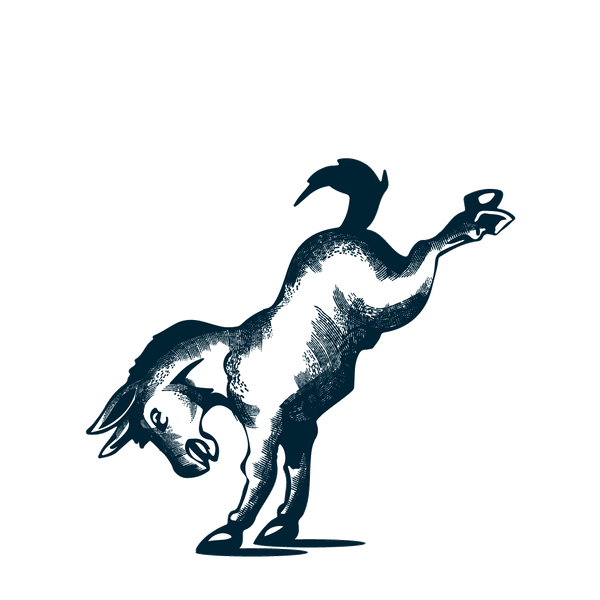 Cleve's Seasoning Logo